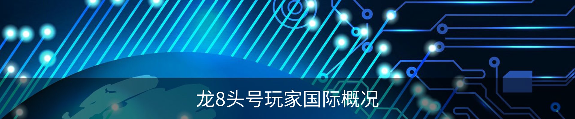 龙8头号玩家国际概况